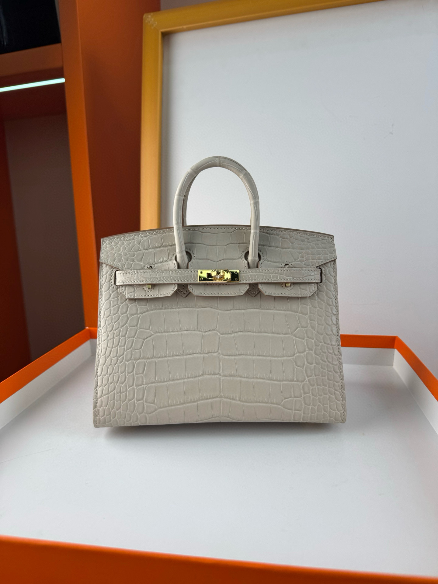 에르메스 버킨백 20 악어가죽 여자가방