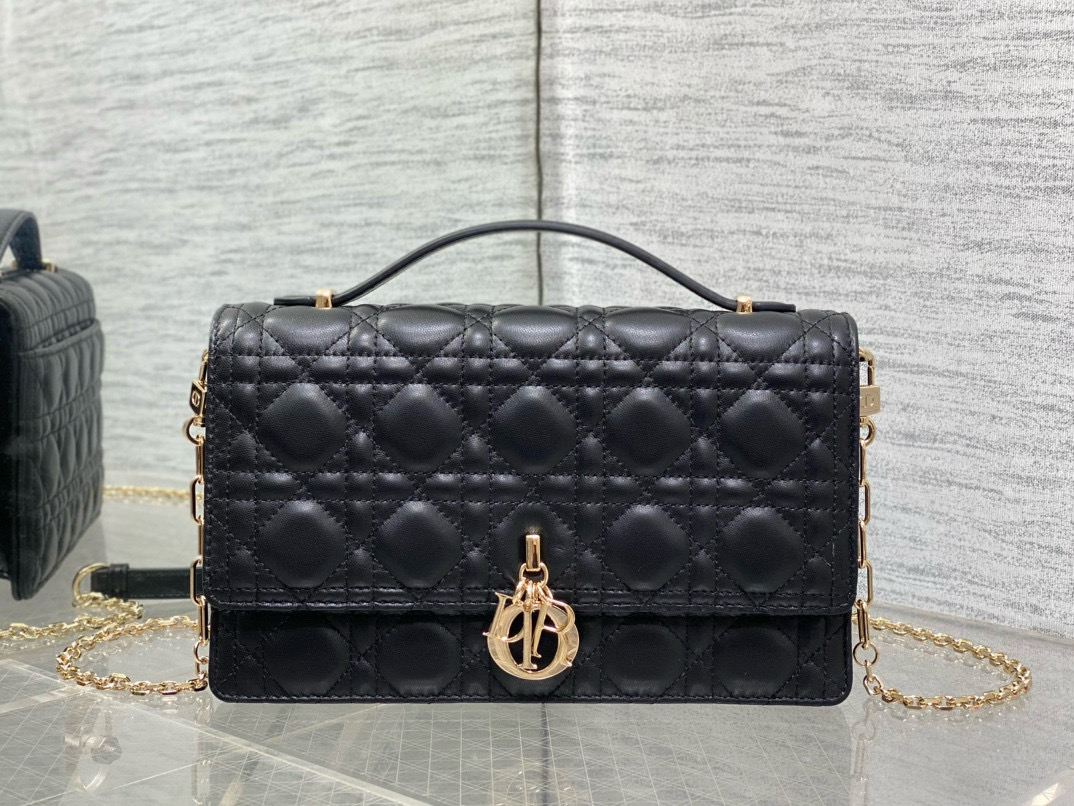 디올 여자가방