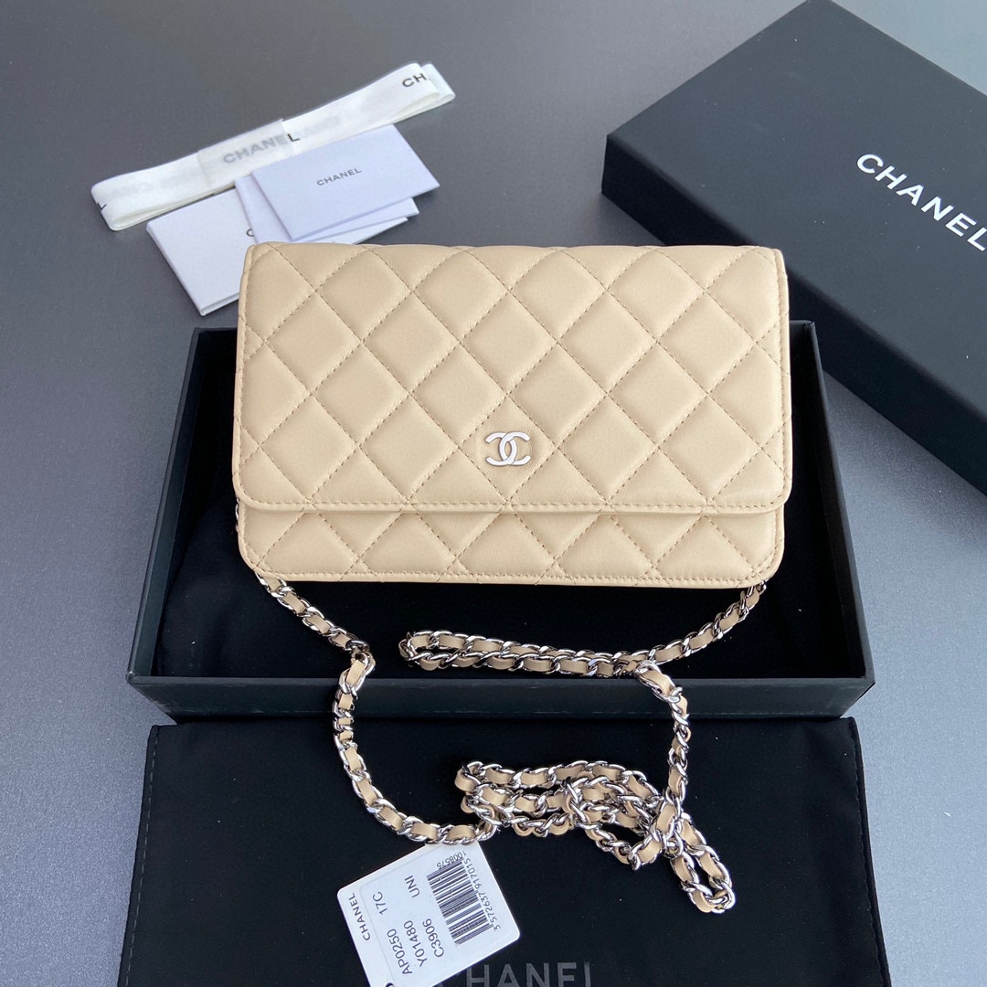 샤넬 여자가방 AP0250