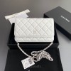 샤넬 여자가방 AP0250