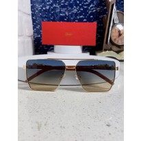 까르띠에 선글라스