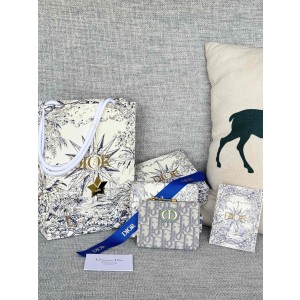 디올 S2197UBHZ_M928 여자 카드지갑 머니클립